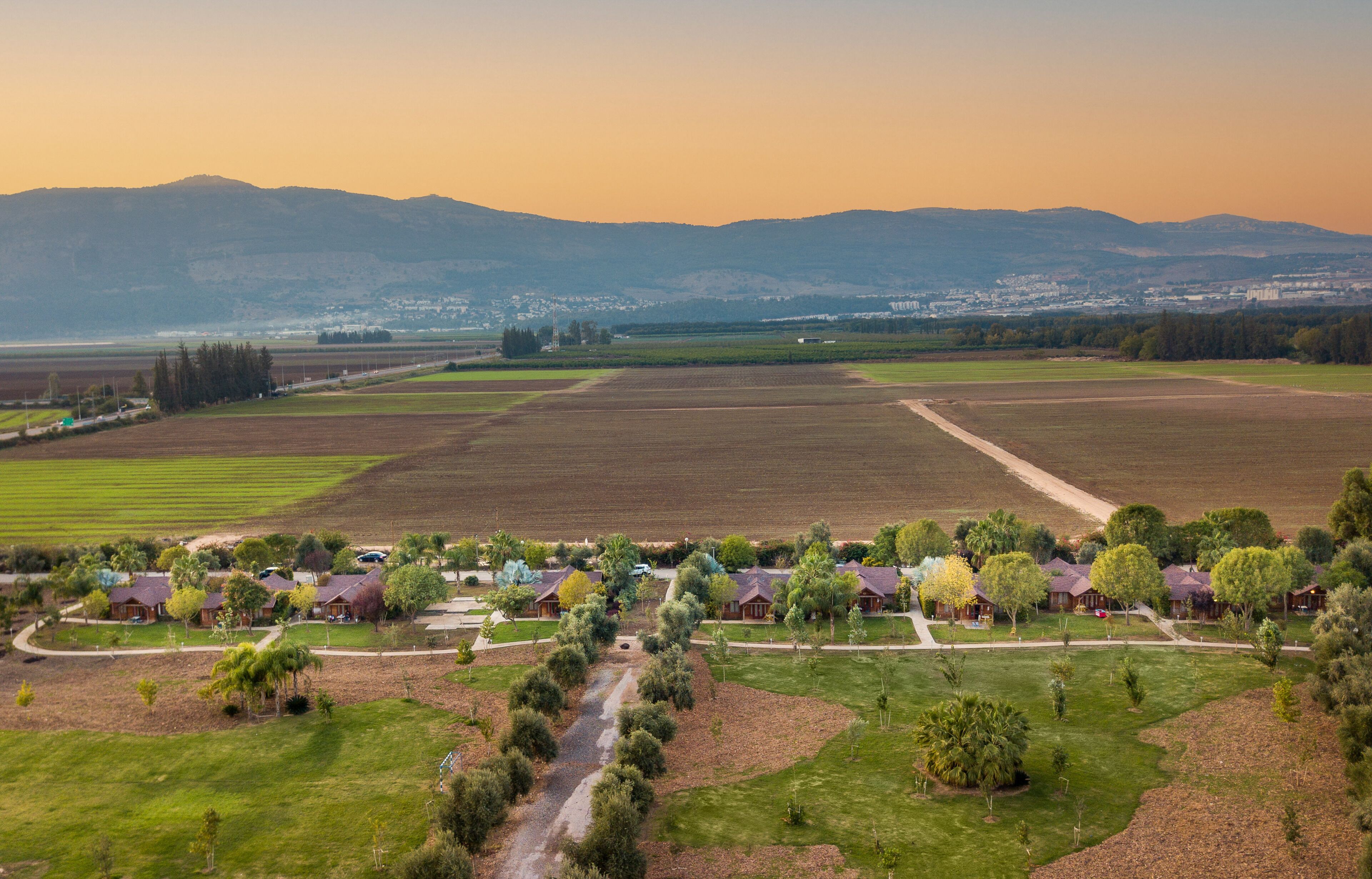 A residential area with houses, green lawns, and a dirt road.