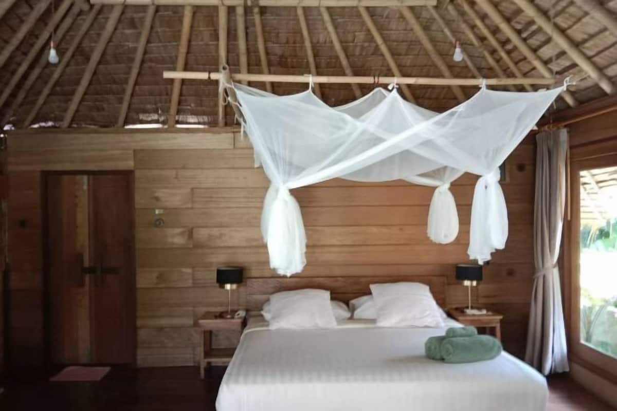 Minibar (free items), desk, WiFi (free), bed sheets