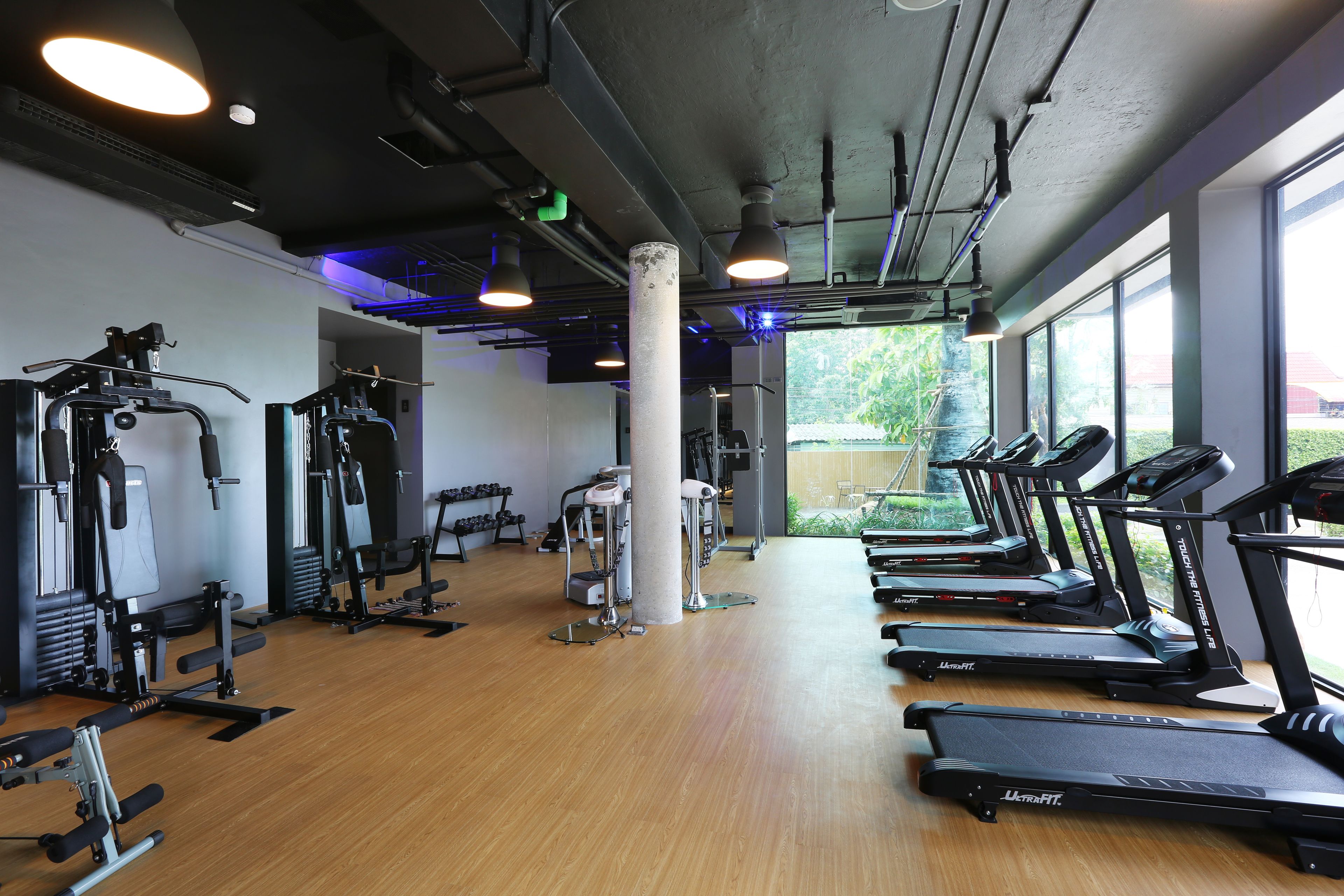 A gym with treadmills, weight machines, and free weights.