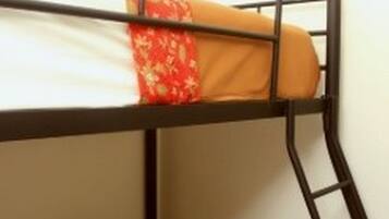 A bunk bed with a ladder, a pillow, and a blanket.
