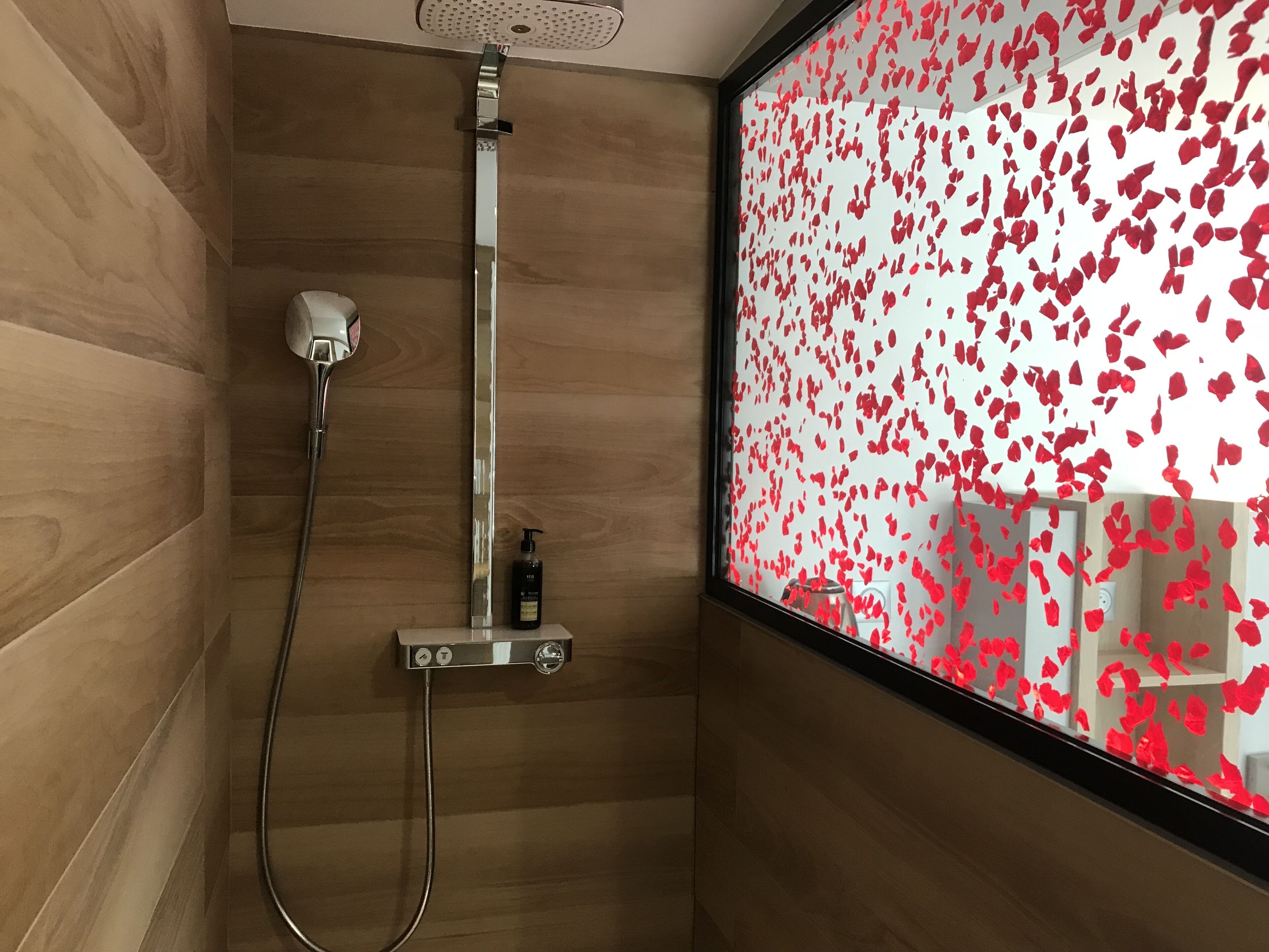 panoramic double room | bathroom | shower, free toiletries, hair dryer, towels