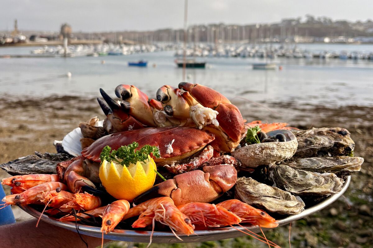 A seafood platter with crabs, shrimp, and oysters on a plate.