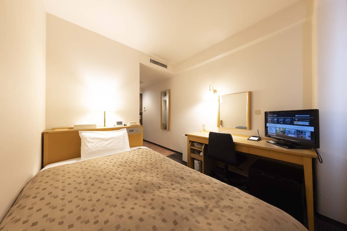 A hotel room with a bed, desk, chair, television, and a mirror.