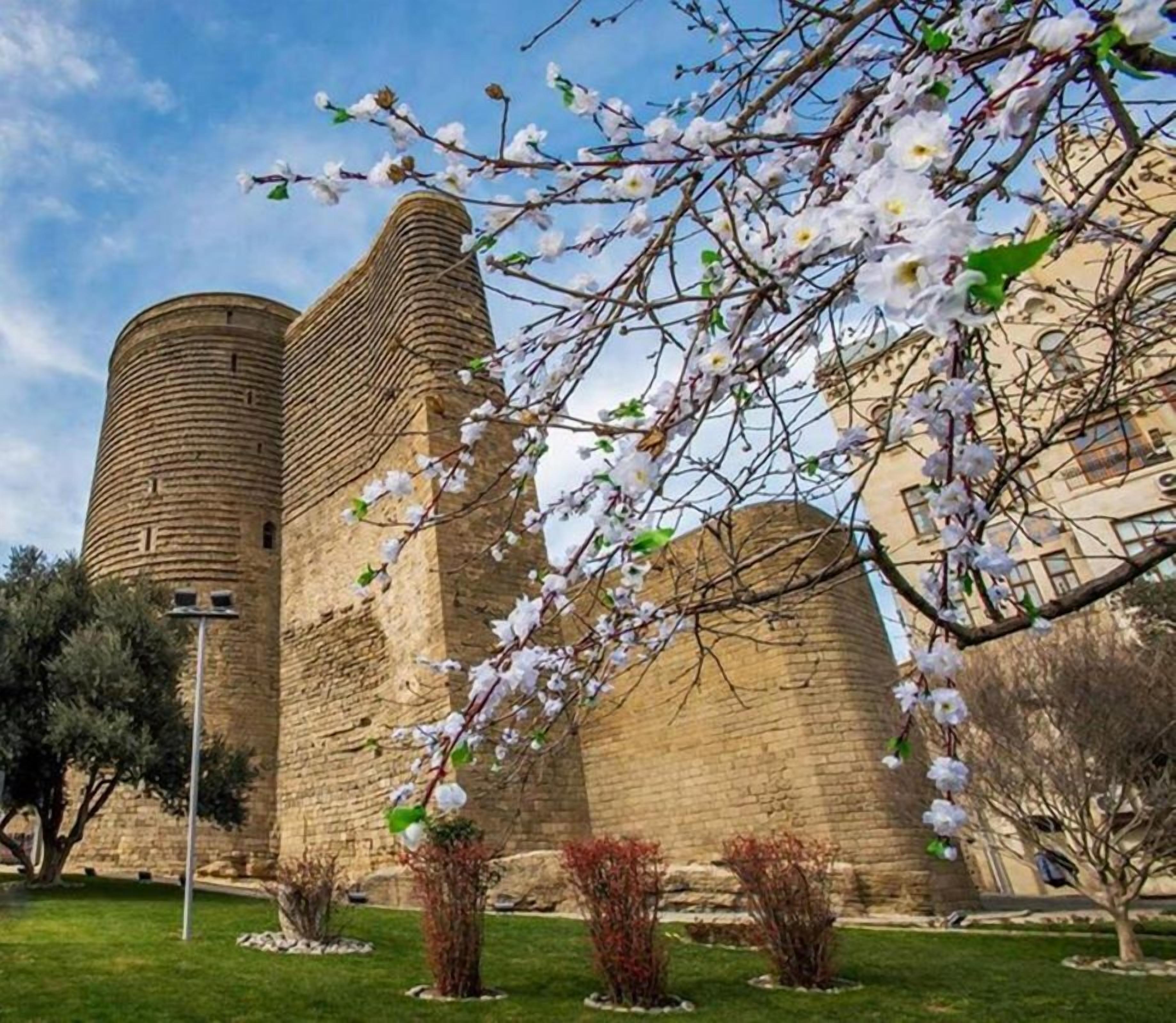 Un edificio histórico de piedra con dos torres destacadas y un jardín bien cuidado con árboles florecientes.