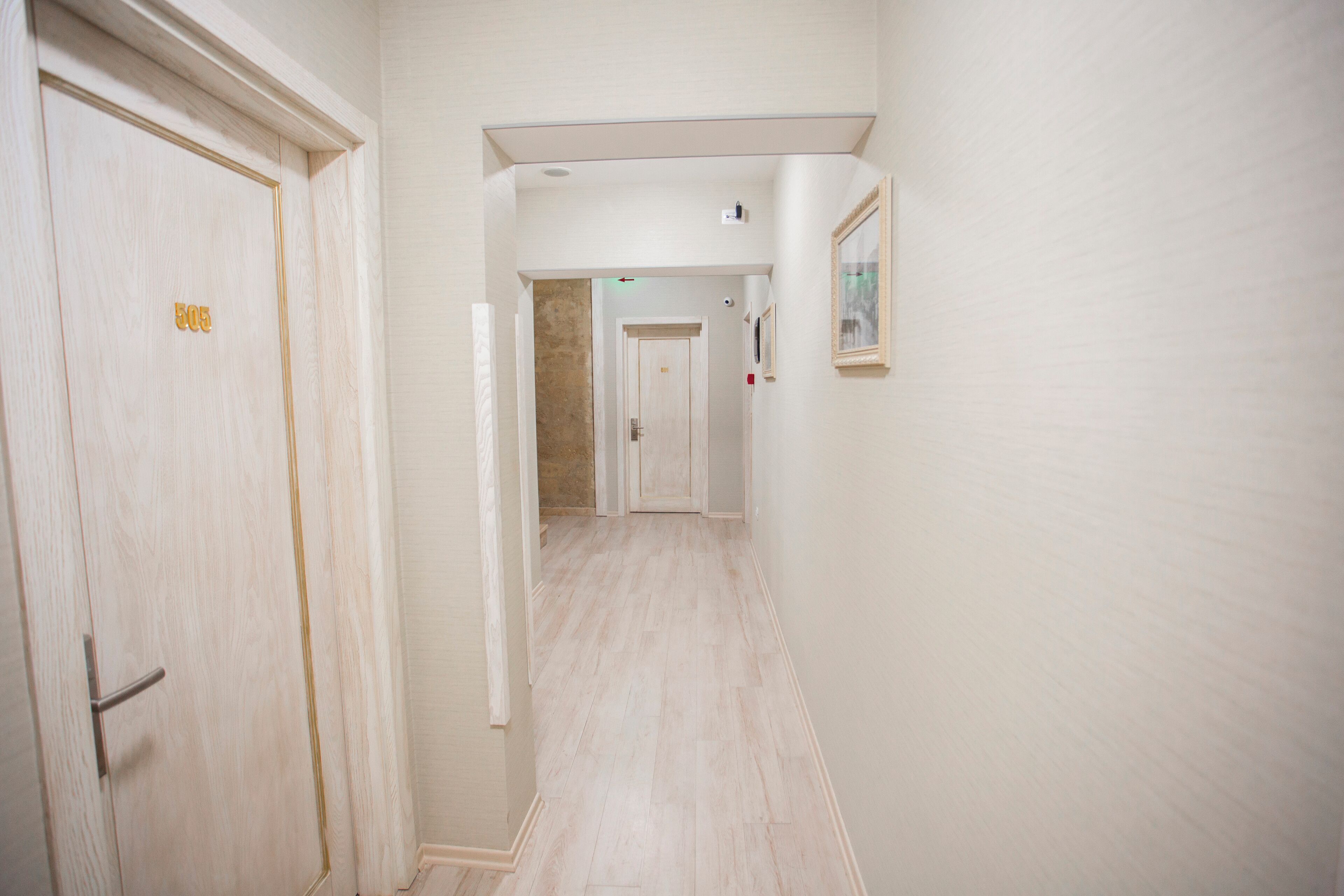 A hallway with a wooden door labeled "505", a framed picture on the wall, and a light-colored floor.