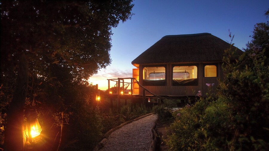 Elephants Lodge - Bellevue Forest Reserve