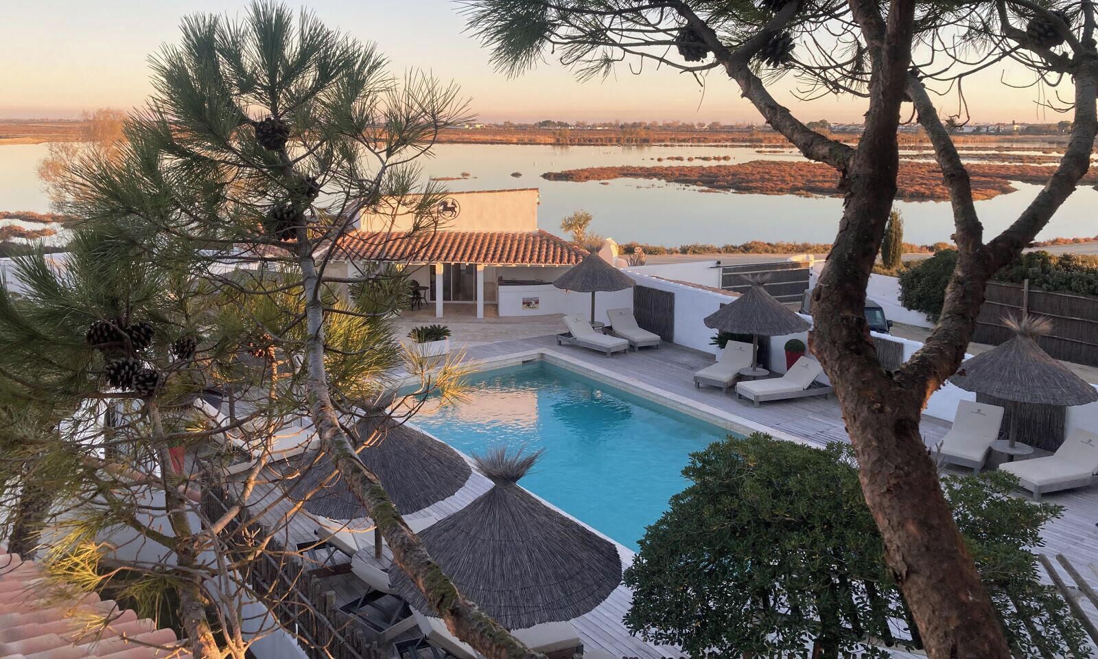 Outdoor pool, sun loungers