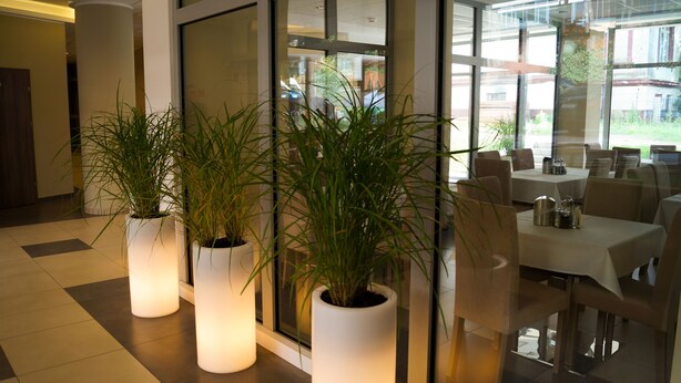 A hotel lobby with large potted plants, a glass partition, and a dining area with tables and chairs. - Osrodek Wypoczynkowy Zorza (Kolobrzeg)