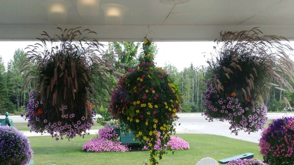 A covered outdoor area with hanging flower baskets and a green lawn. - Sunset Motel at Armand's Gardens  (St Ignace)