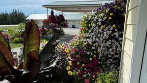 Une terrasse en bois agrémentée de divers pots de plantes et de fleurs, qui mène à un bâtiment doté d’un toit en métal.