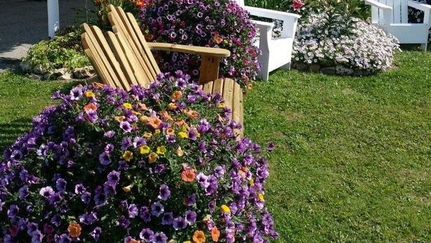 Un bâtiment blanc avec une enseigne indiquant « BUREAU » sur la façade. On y voit des jardinières remplies de différentes sortes de fleurs et une chaise en bois au premier plan.
