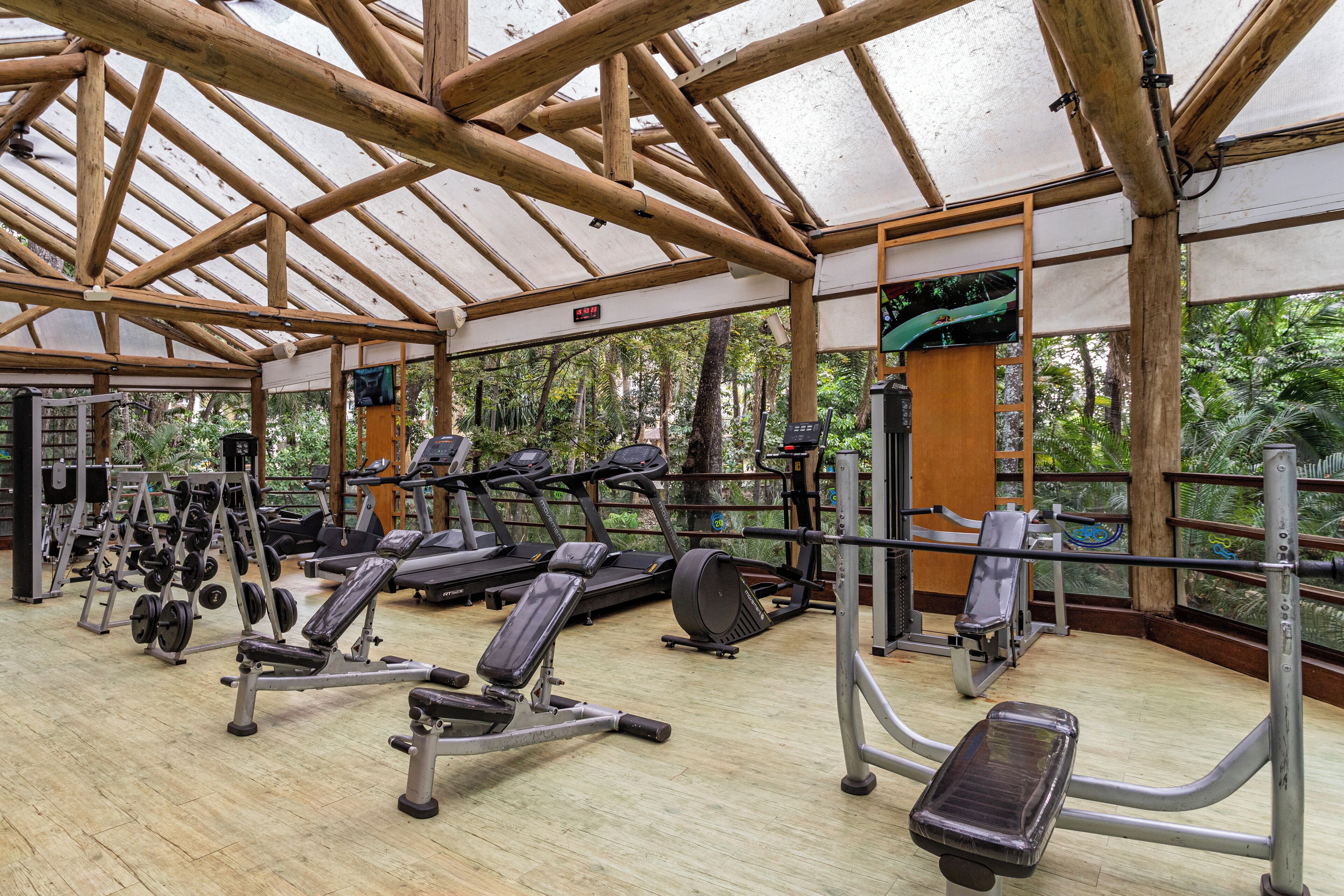 Un gimnasio con diverso equipo de ejercicio, techo de madera y vistas al exterior con vegetación.