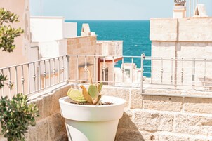 Um cacto em vaso numa varanda com vista para o mar.