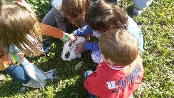 Niños interactúan con un conejo en un área al aire libre con césped.