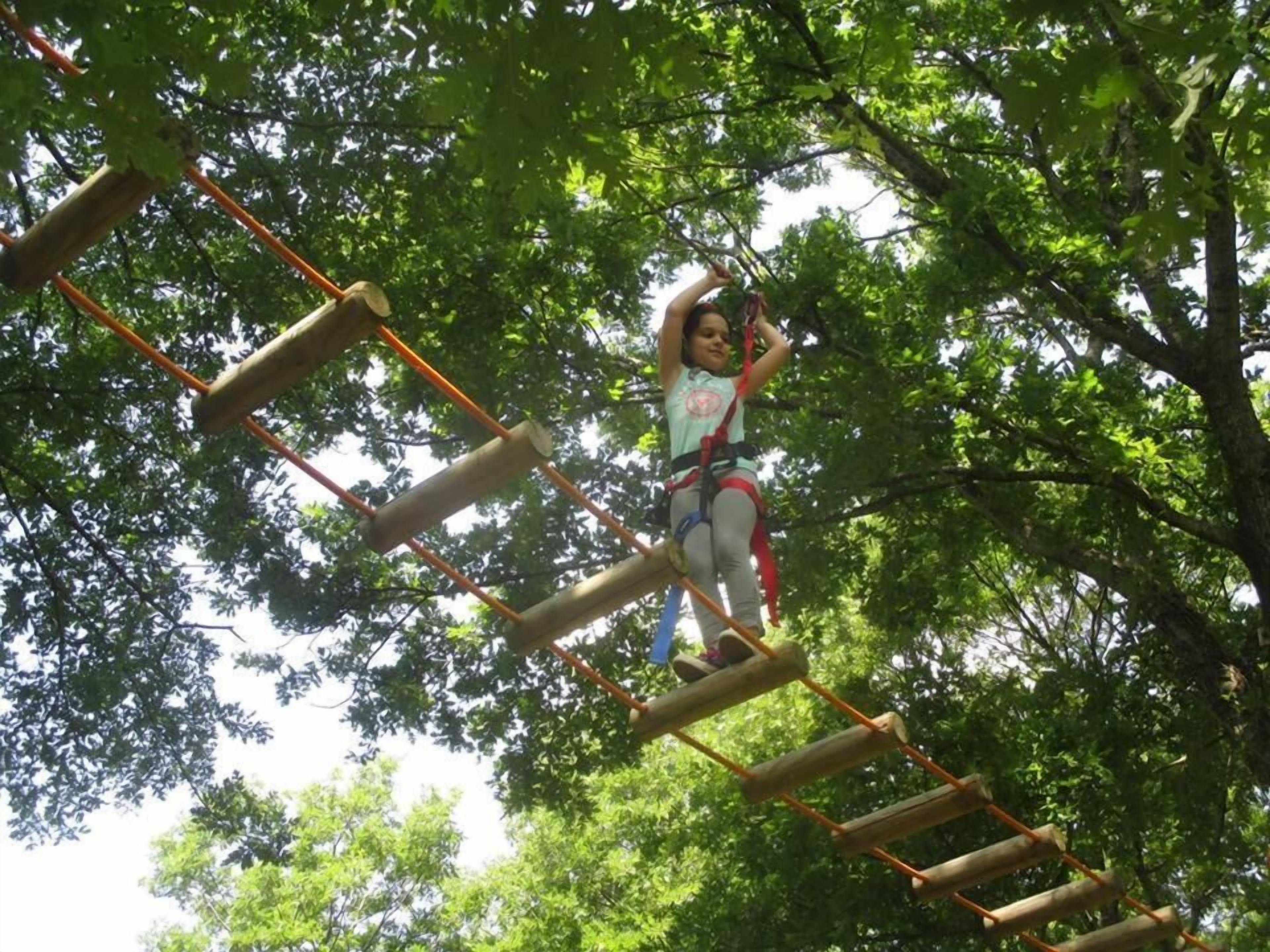 Una persona cruzando un puente de cuerda de madera en un área boscosa.