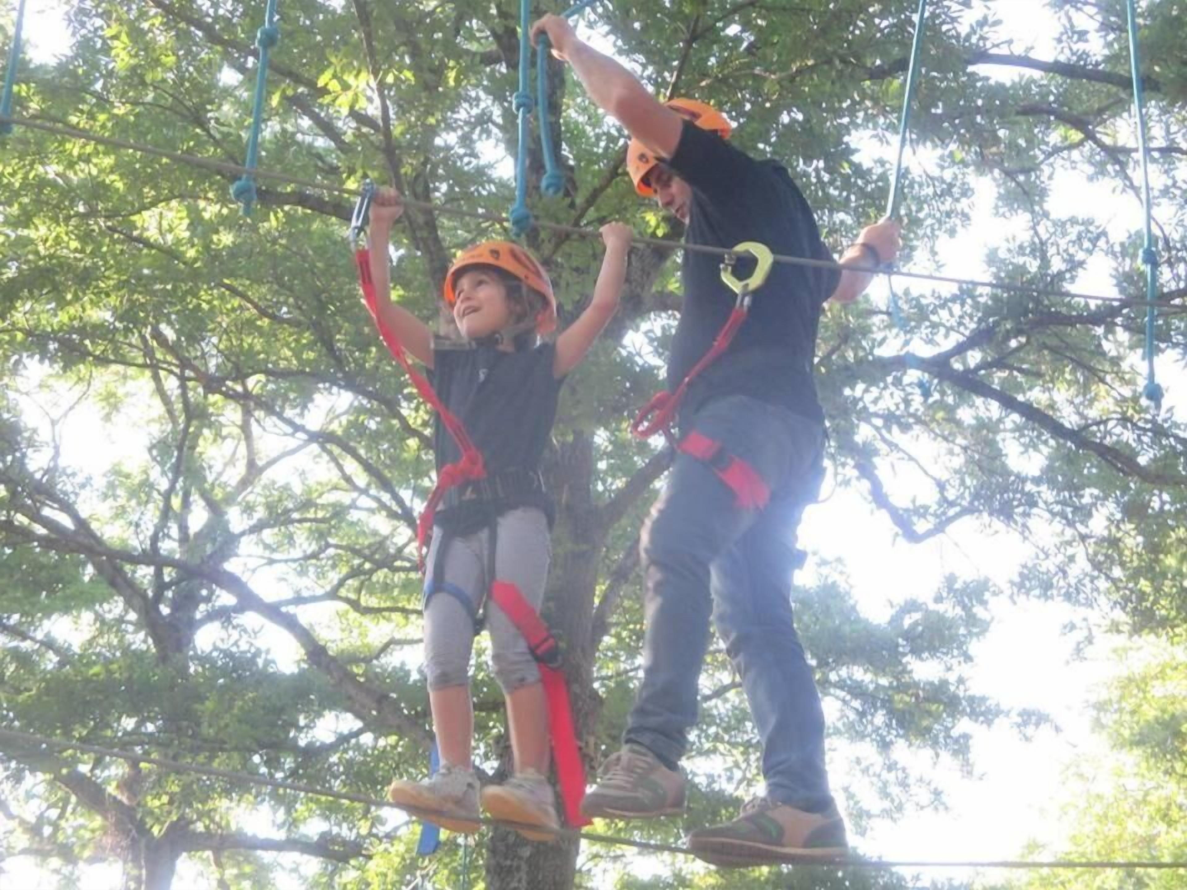 Two people on a tree branch, wearing helmets and harnesses, engaged in an outdoor activity.