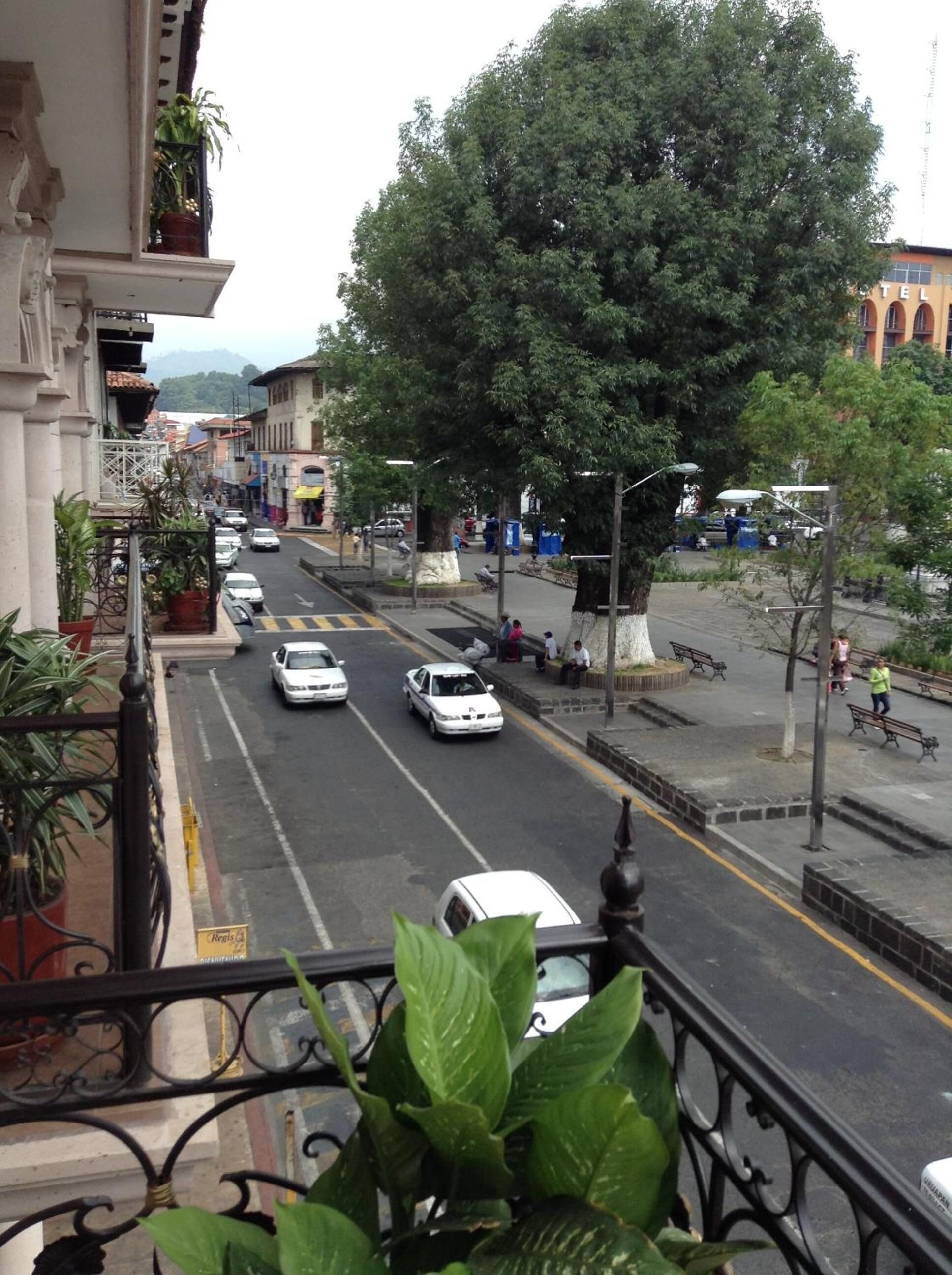 Blick von einem Balkon auf die Straße mit Autos, einem großen Baum und Gebäuden im Hintergrund.