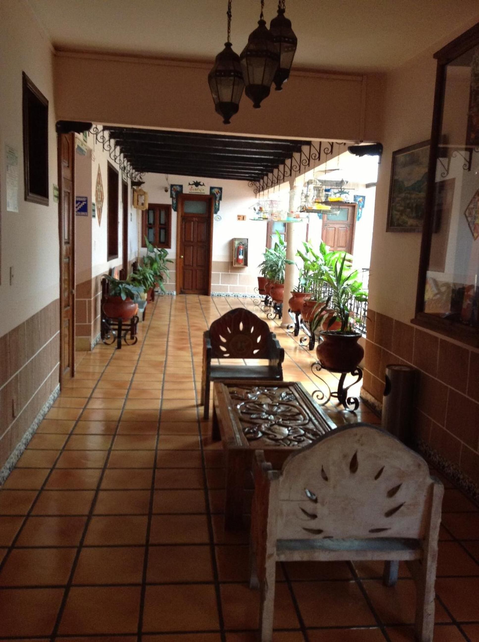 Un pasillo con suelo de baldosas, muebles de madera y plantas en macetas.