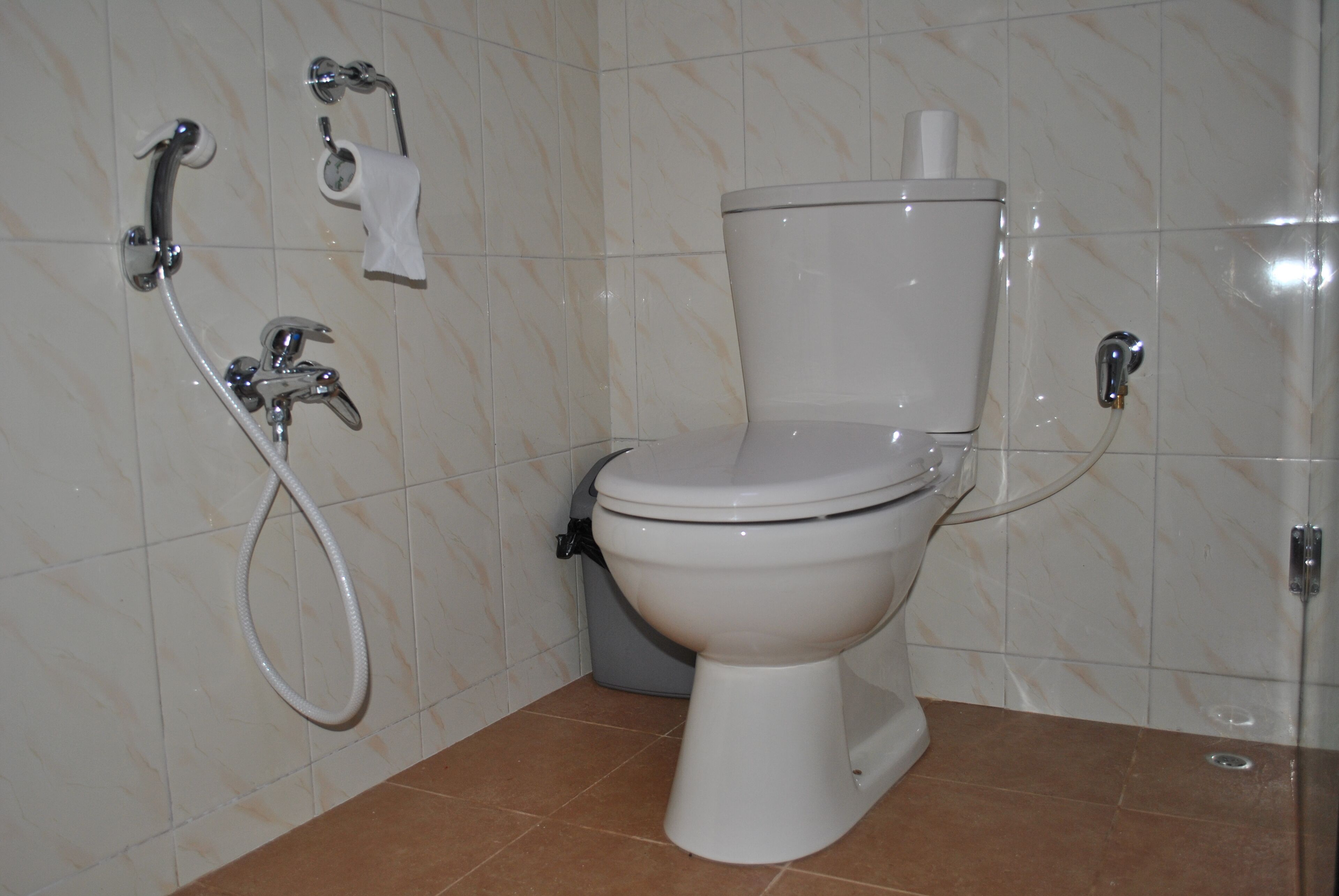 Une salle de bain équipée de toilettes, d’un bidet et d’un flexible de douche.