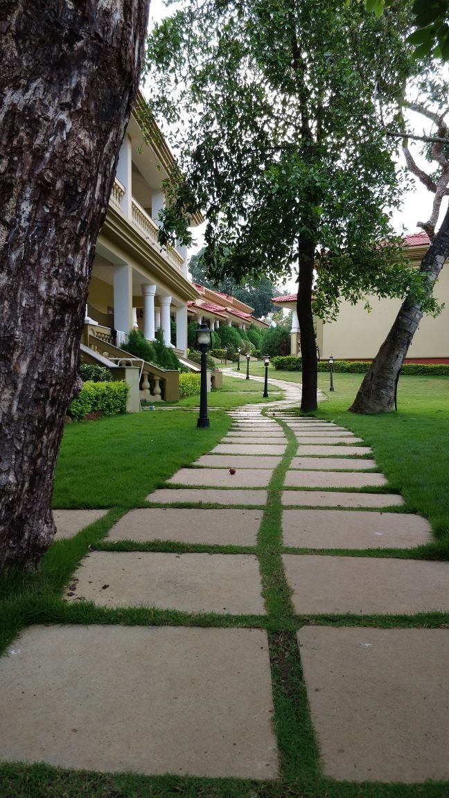 A pathway leading to a building with columns and a red-tiled roof.