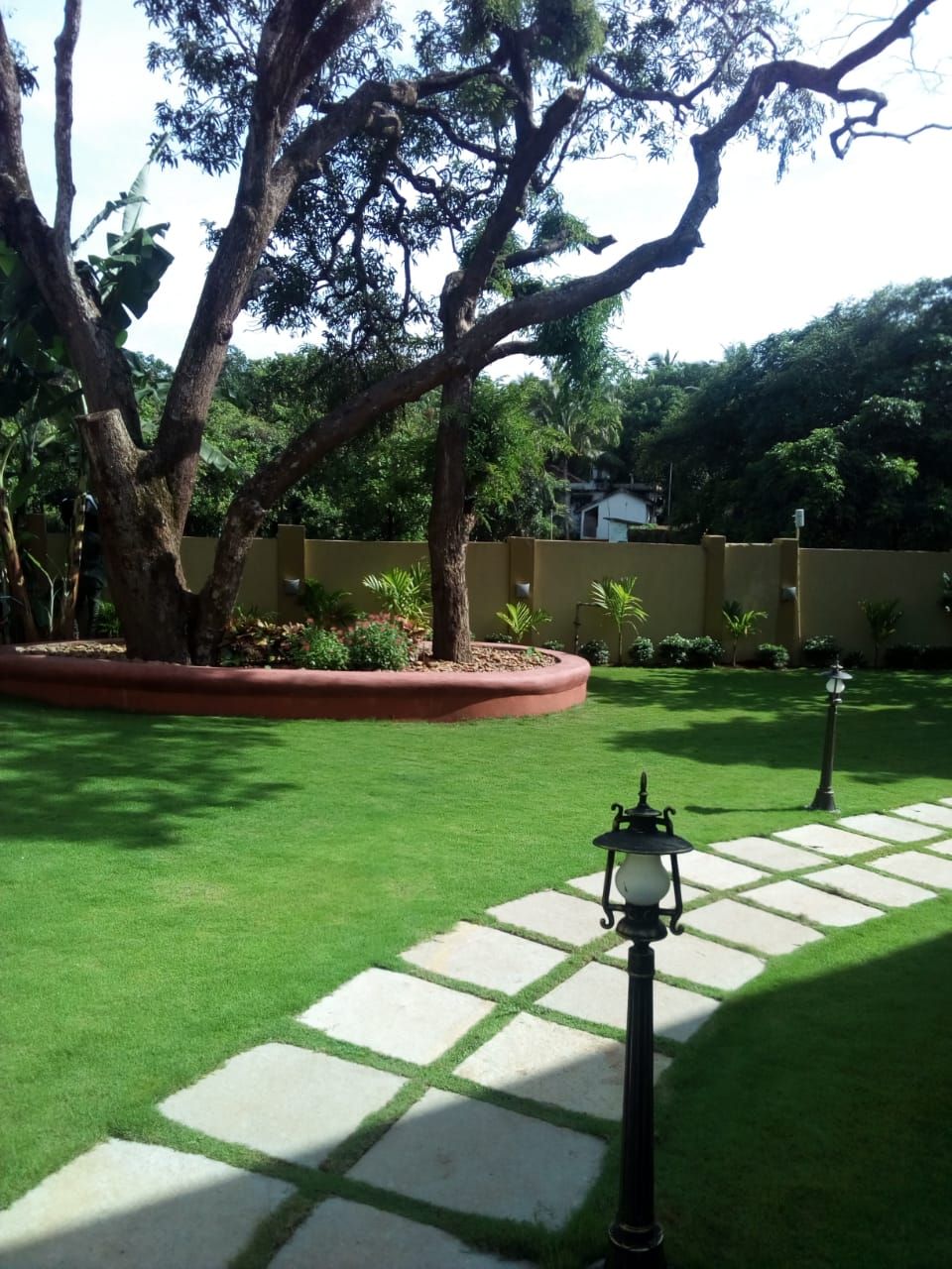 Un jardin bien entretenu, avec un grand arbre, un chemin pavé et un lampadaire.