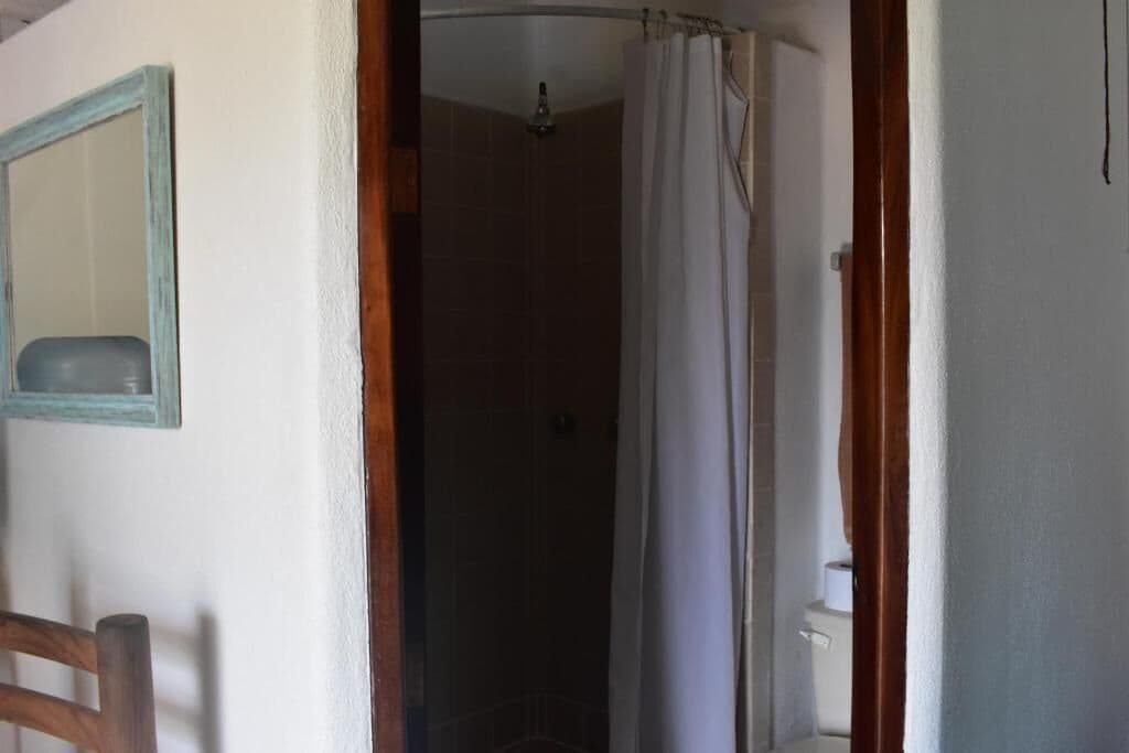 A bathroom with a shower, a mirror, and a toilet.