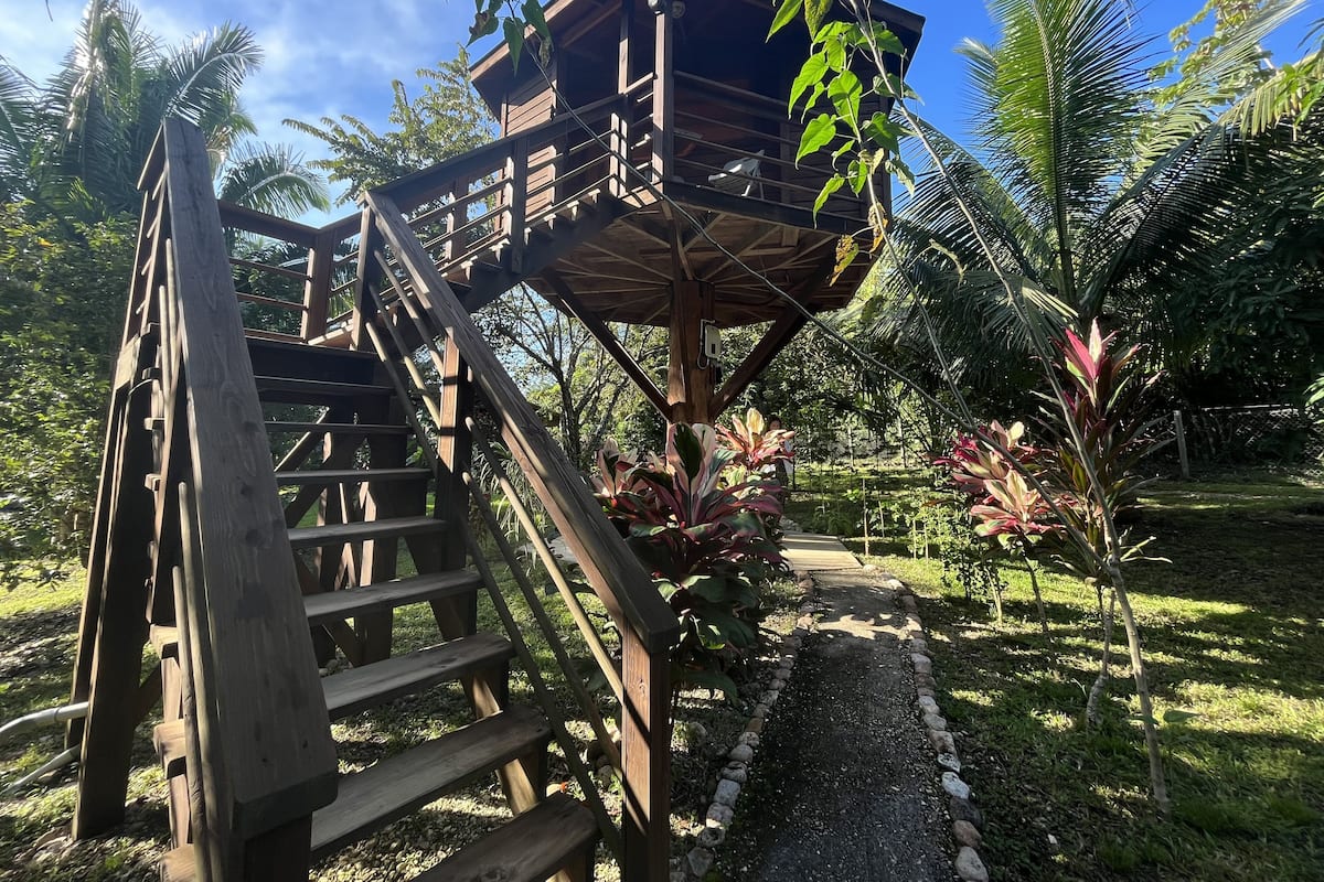 A wooden staircase leading to a treehouse with a balcony, surrounded by lush greenery and palm trees.
