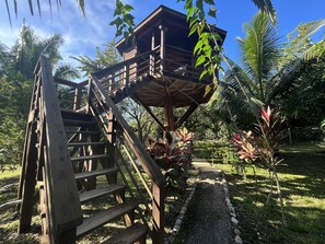 Basic Tree House, Garden View