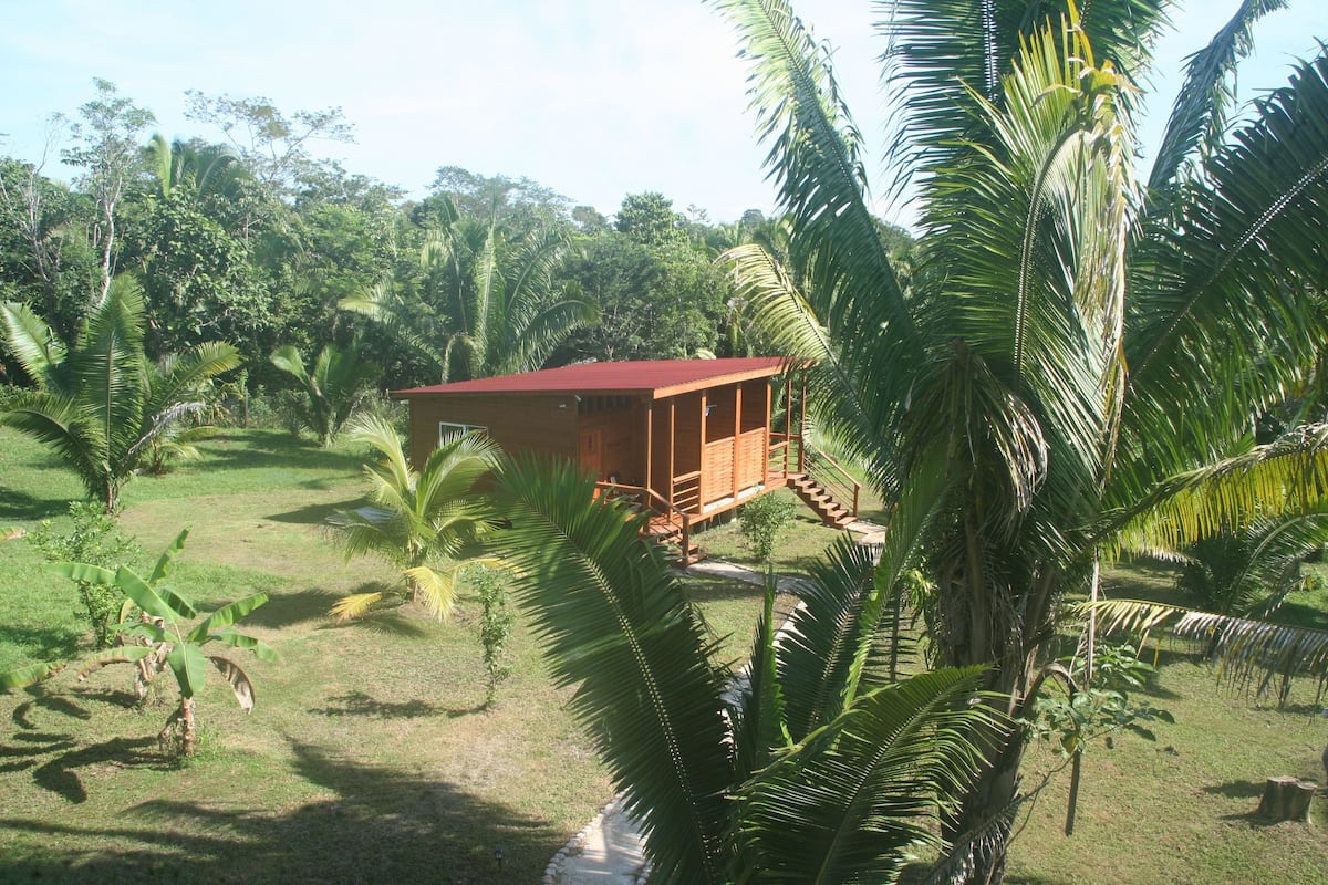 A wooden cabin with a red roof, surrounded by lush greenery and palm trees.