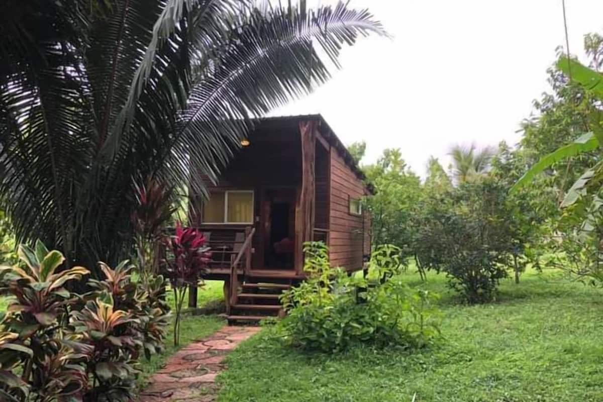 A wooden cabin with a porch, surrounded by lush greenery and a stone pathway.