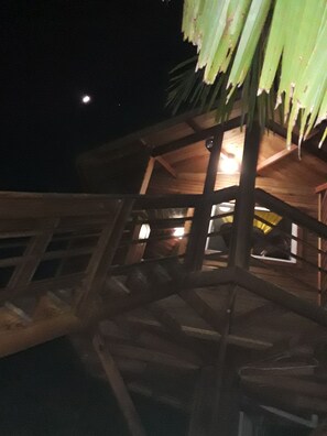 Basic Tree House, Garden View