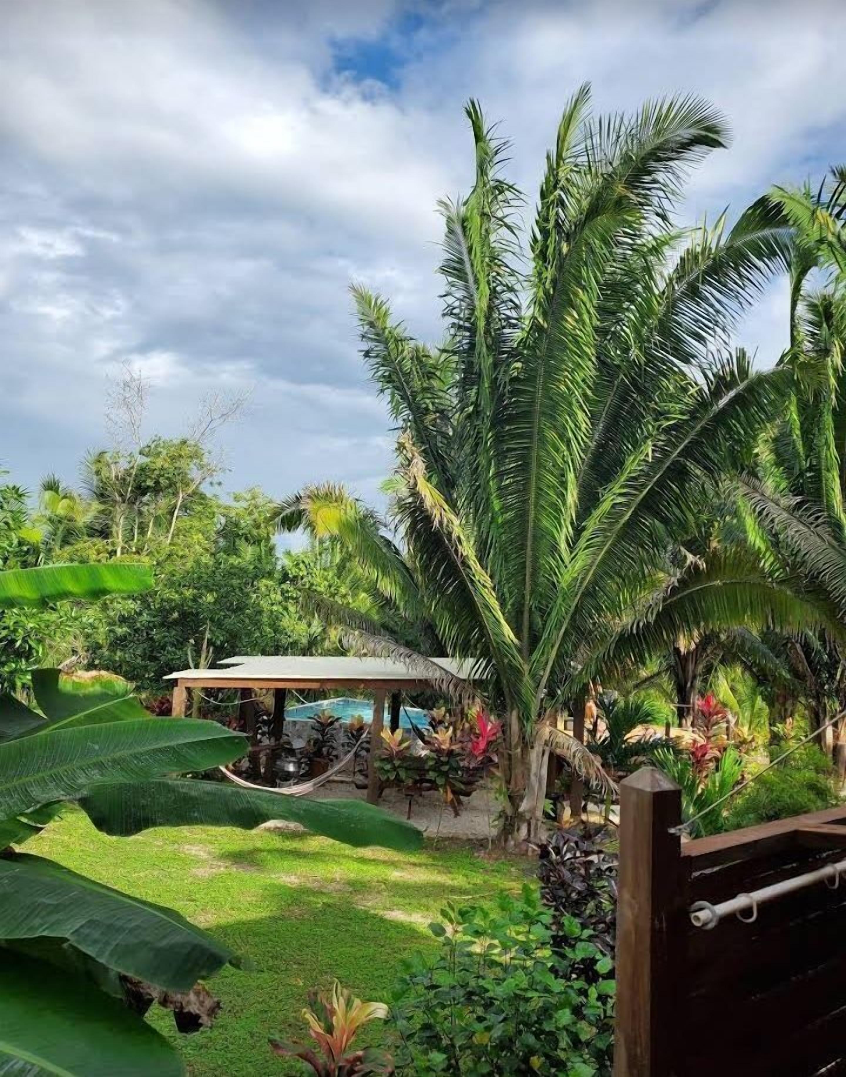 Kahden hengen perushuone, näköala puutarhaan, uima-altaan luona | Terassi/patio