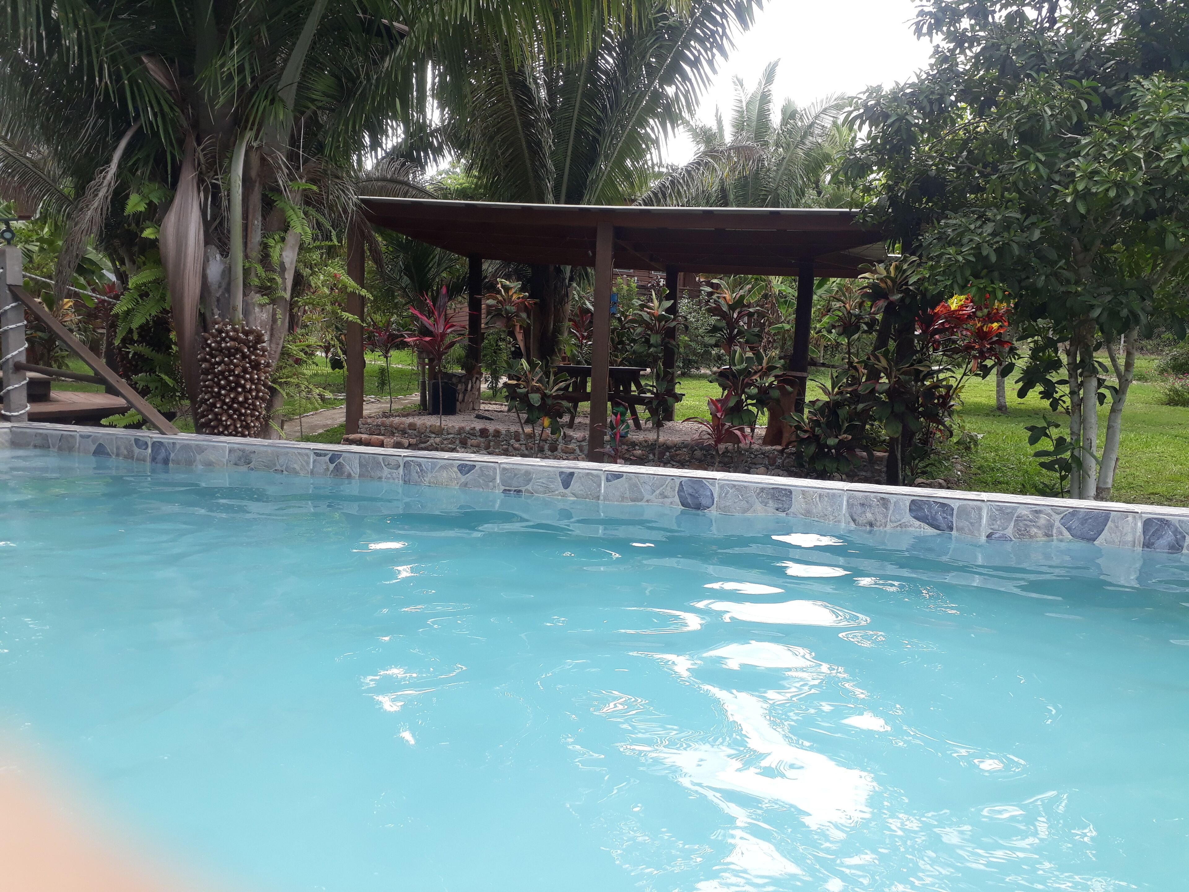 Ein Pool mit Steinbord, umgeben von üppiger Bepflanzung und einer hölzernen Pergola.