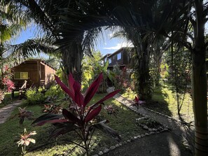 A wooden cabin with a porch, surrounded by lush tropical vegetation and a clear blue sky. - The Green Valley Inn (Unitedville)