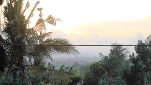 A lush tropical landscape with dense vegetation and a wooden fence. - Menjangan Sari (Pejarakan)