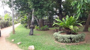 A garden with various plants, a pathway, and a fence.
