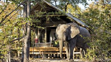 1 habitación, caja de seguridad en la habitación y ropa de cama
