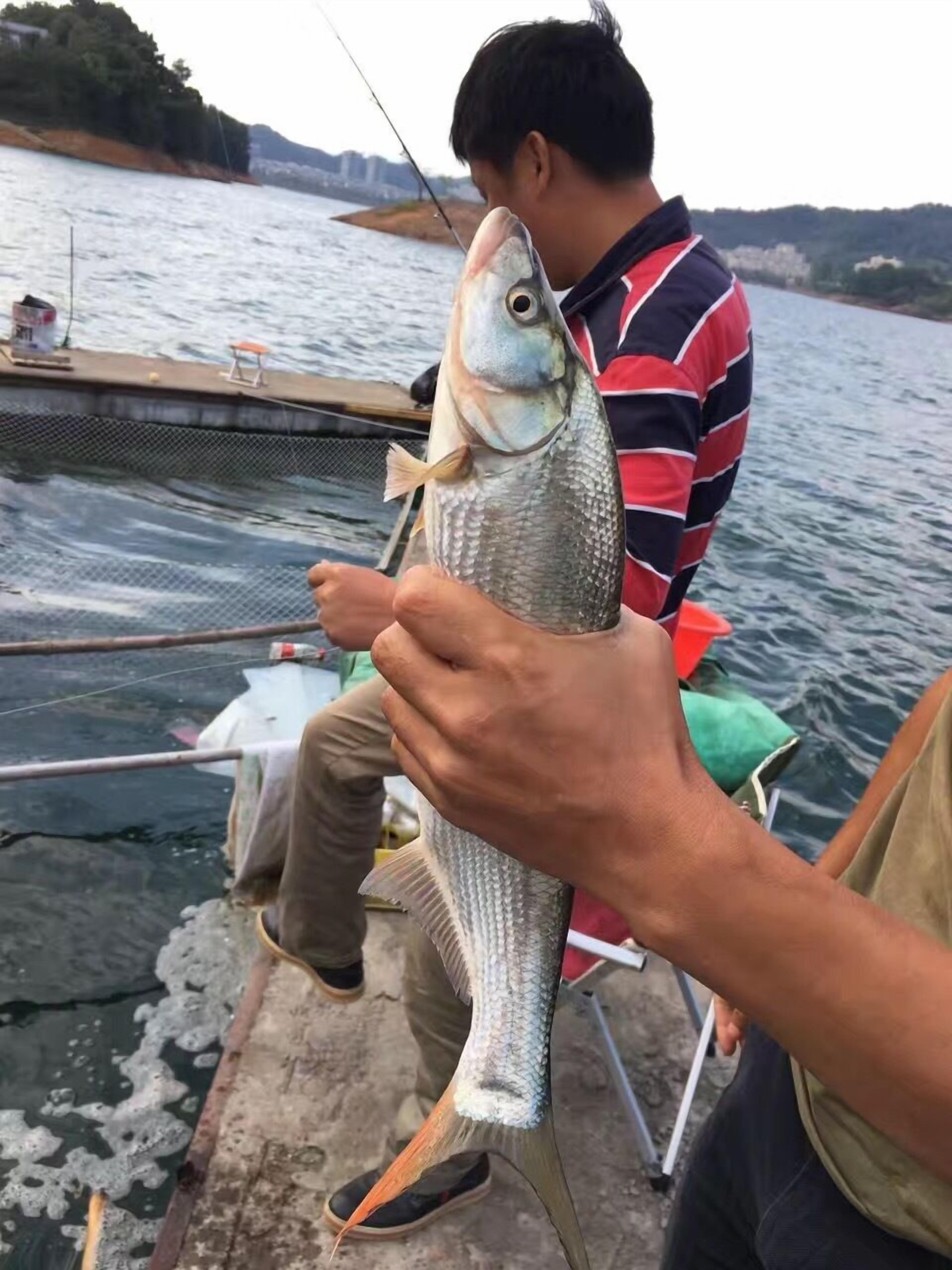 Une personne tenant un poisson sur un bateau.
