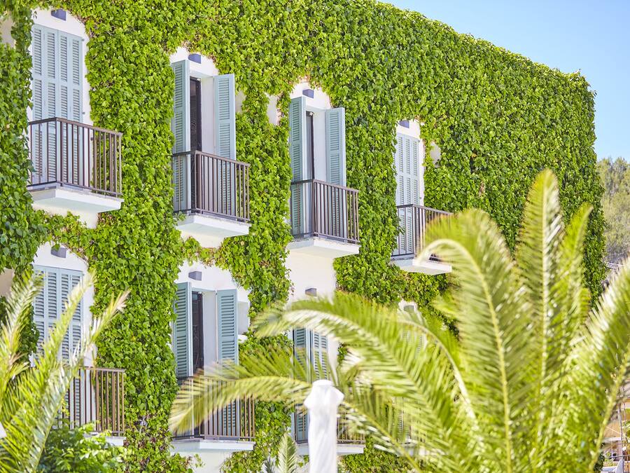 Un edificio con balcones cubiertos de follaje verde, paredes blancas y contraventanas azules.