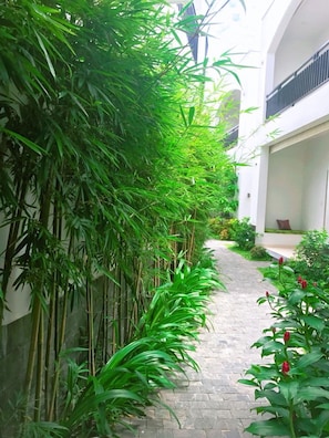 Jardín