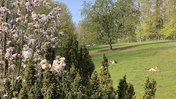 Vista desde la habitación