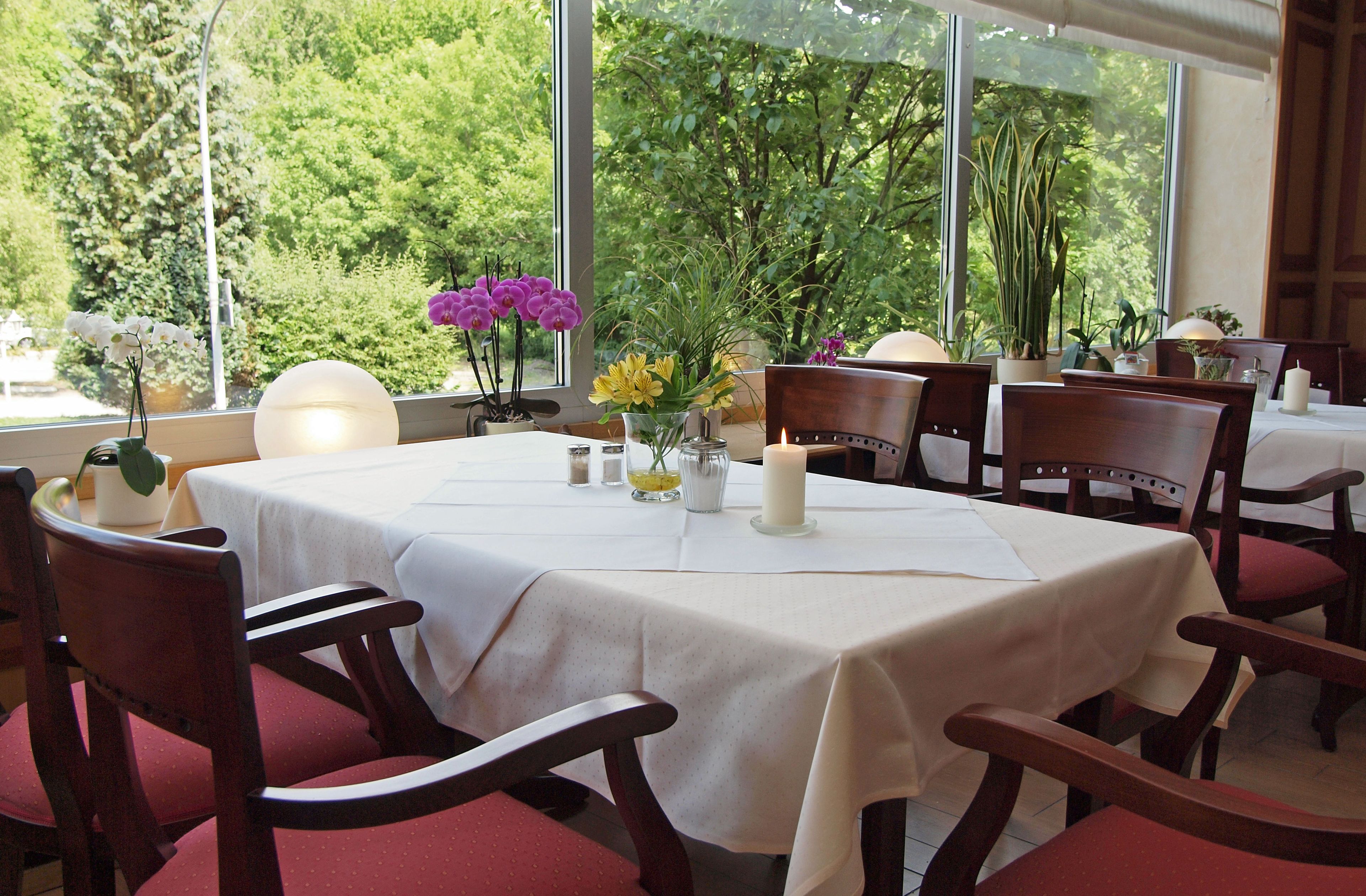 lunch and dinner served, german cuisine