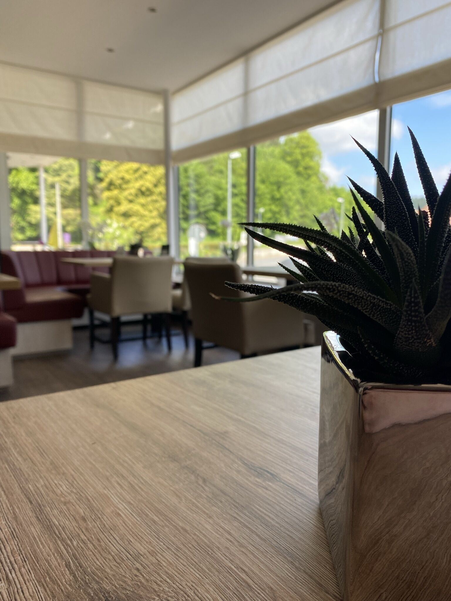 供應午餐和晚餐，德國料理