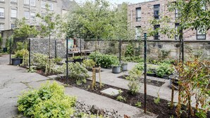 A garden with various plants and a stone wall. - Edinburgh Landmarks Apartments (Edinburgh)