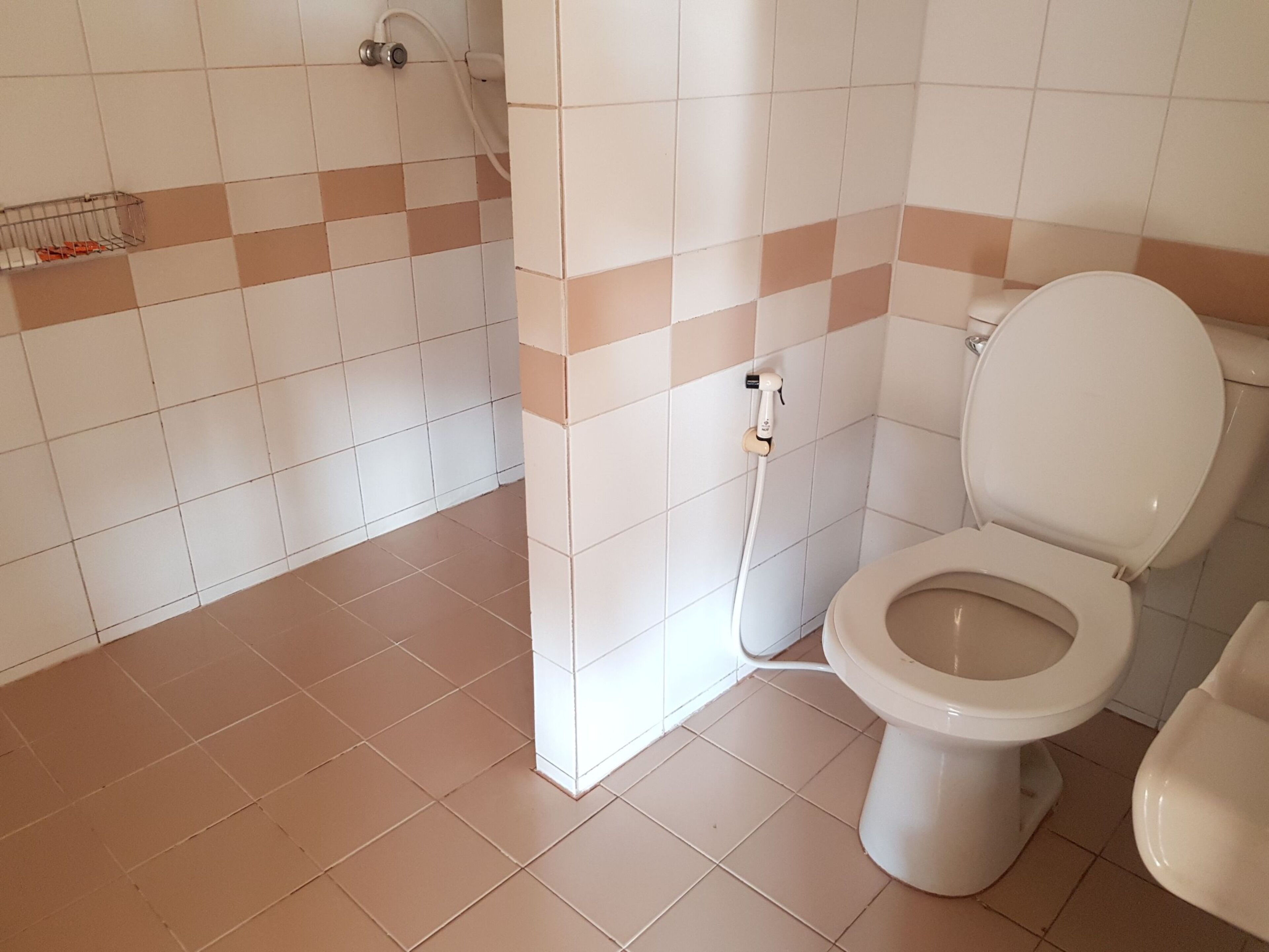 Un baño con inodoro, ducha y lavamanos.