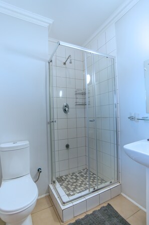 Bathroom features a glass-enclosed shower, white sink, and toilet.