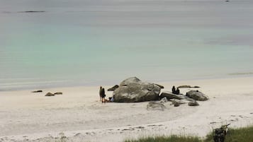 Kayaks, paseos en botes de motor, bote de remos o canoa y pesca