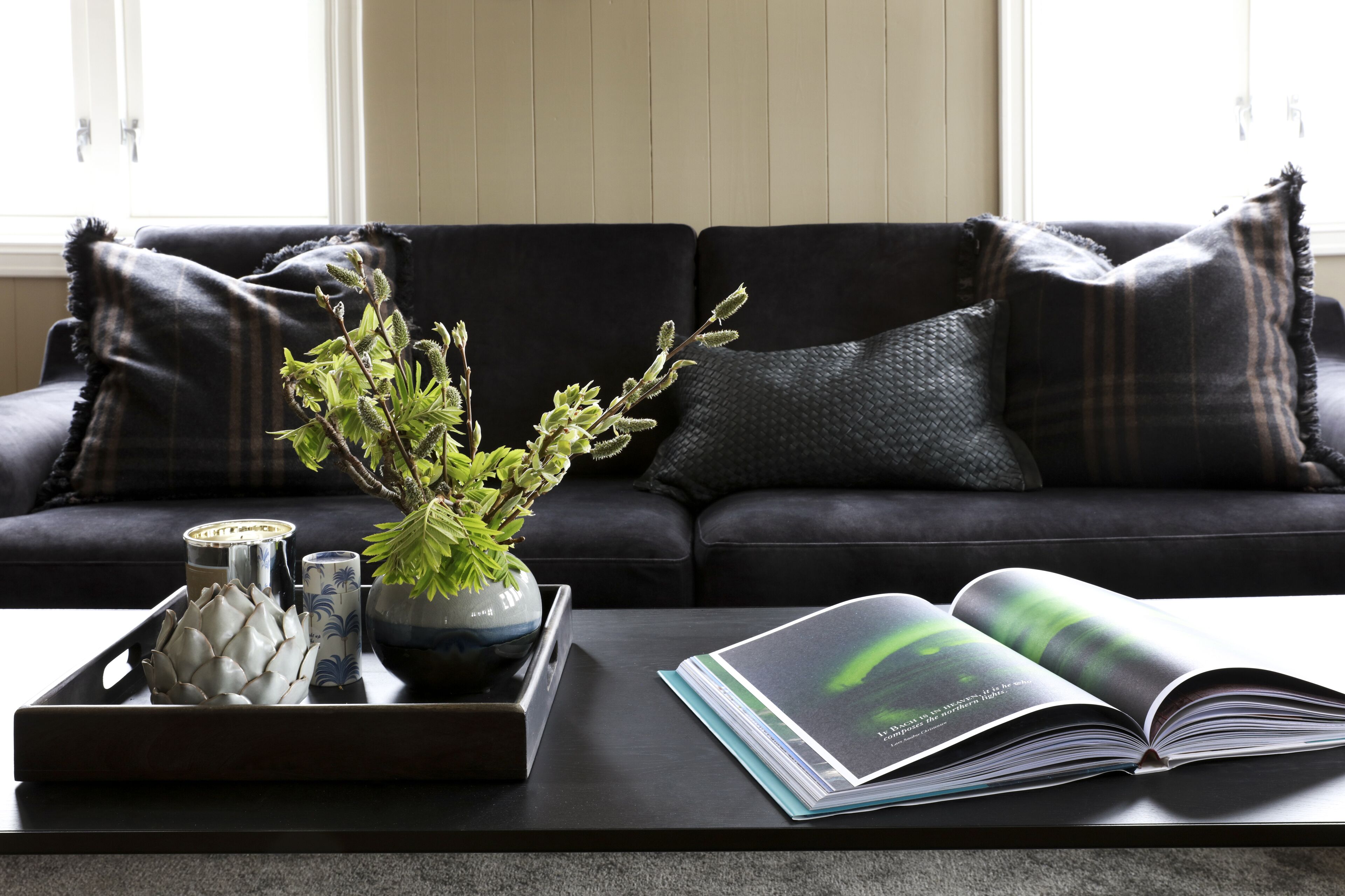 A dark-colored sofa with a decorative plant and a tray with a book and vases.