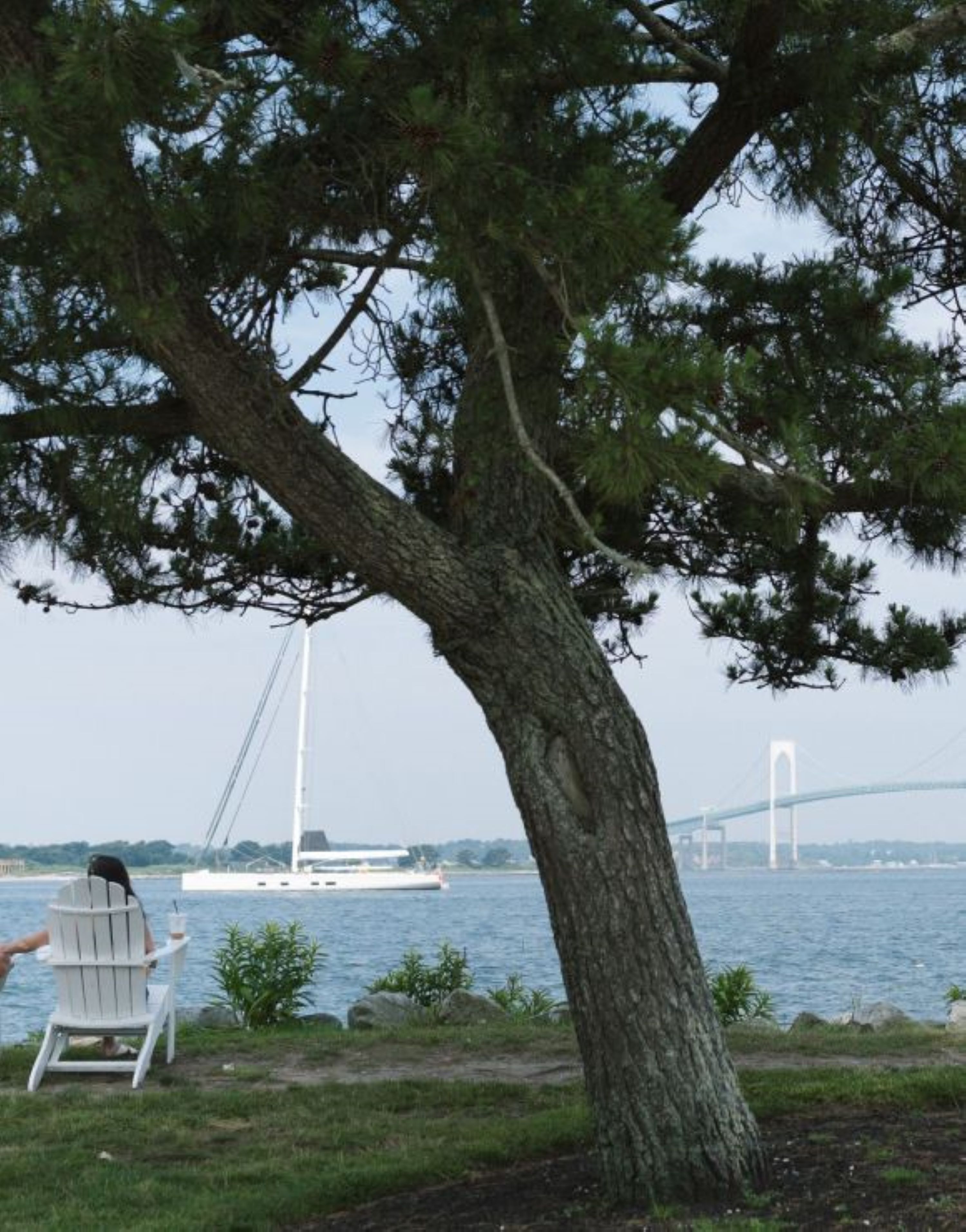 A tree-lined waterfront with a chair and a view of a bridge and sailboat in the background.