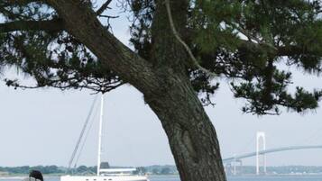 A tree-lined waterfront with a chair and a view of a bridge and sailboat in the background.